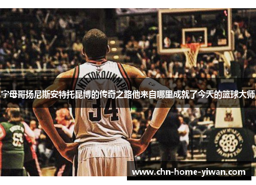 字母哥扬尼斯安特托昆博的传奇之路他来自哪里成就了今天的篮球大师 字母哥扬尼斯安特托昆博的传奇之路他来自哪里成就了今天的篮球大师