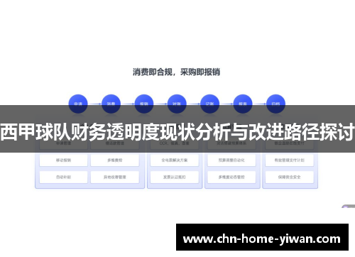 西甲球队财务透明度现状分析与改进路径探讨