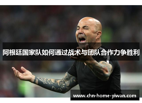 阿根廷国家队如何通过战术与团队合作力争胜利