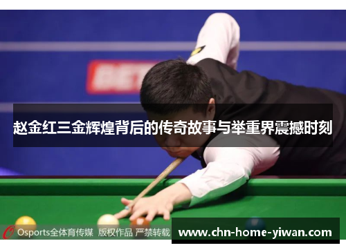 赵金红三金辉煌背后的传奇故事与举重界震撼时刻