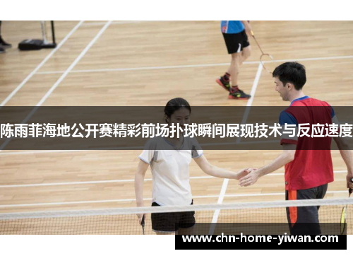 陈雨菲海地公开赛精彩前场扑球瞬间展现技术与反应速度