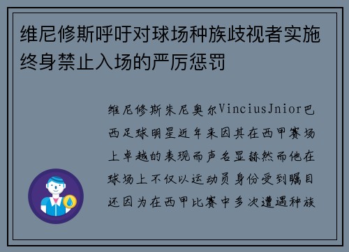 维尼修斯呼吁对球场种族歧视者实施终身禁止入场的严厉惩罚 维尼修斯呼吁对球场种族歧视者实施终身禁止入场的严厉惩罚